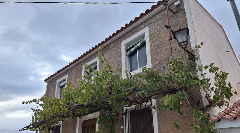 Granada - Cebas - 10905m2