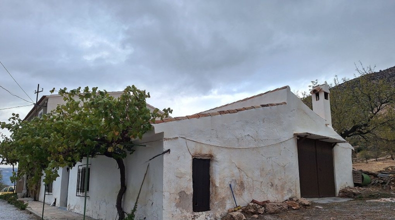 Granada - Cebas - 10905m2