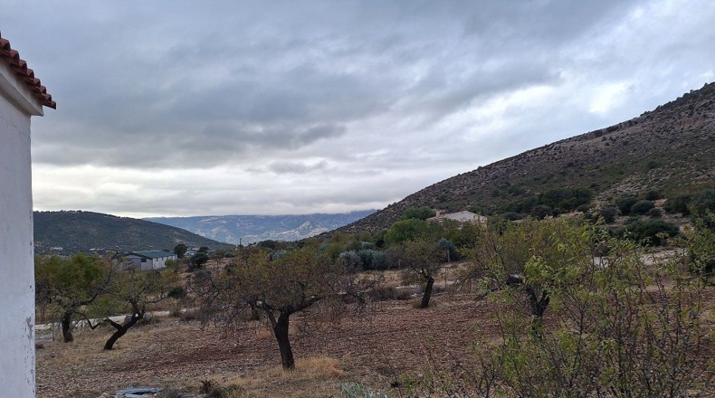 Granada - Cebas - 10905m2