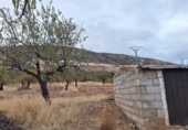 Xalet independent amb terreny en venda a Castril ref.: TR179392 foto