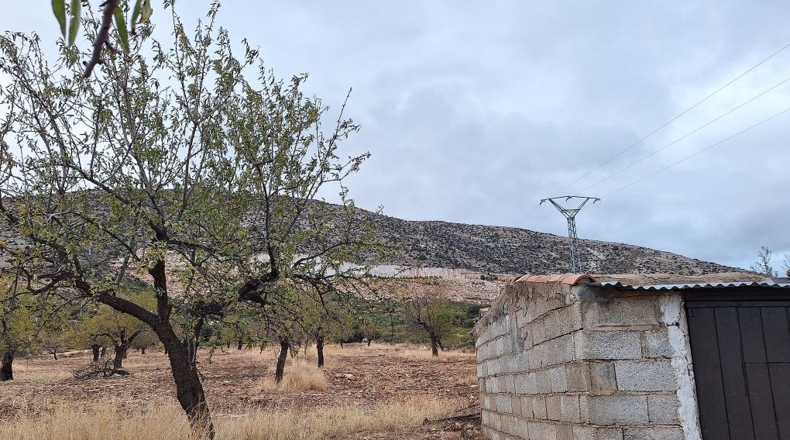 Granada - Cebas - 10905m2