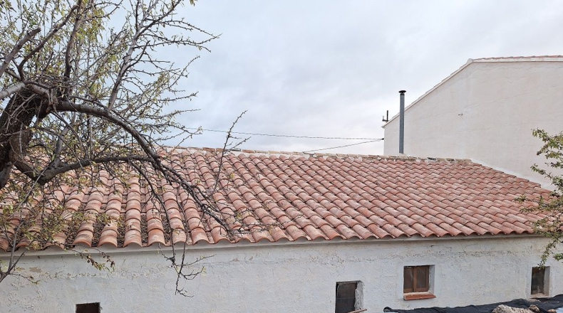 Granada - Cebas - 10905m2
