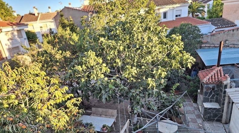 Granada - Huéscar - 603m2