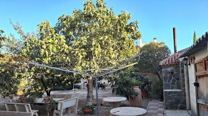 Granada - Huéscar - 603m2