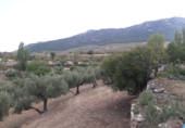 Finca rústica en venda a Puebla de Don Fadrique ref.: TR264383 foto