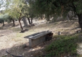 Finca rústica en venda a Puebla de Don Fadrique ref.: TR264383 foto