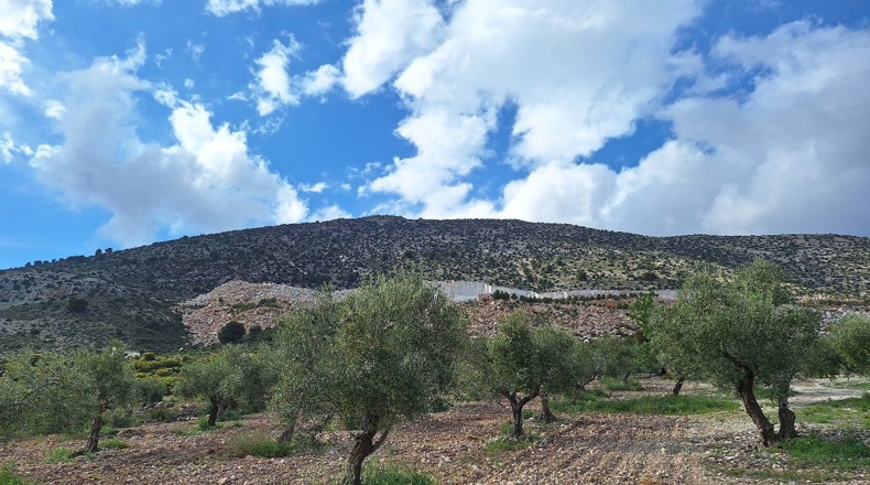 Granada - Castril - 3977m2
