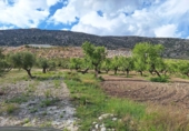 Finca rústica en venda a Castril ref.: TR234315 foto