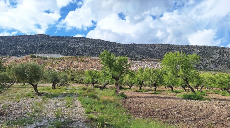 Granada - Castril - 3977m2
