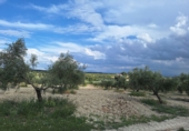 Finca rústica en venda a Castril ref.: TR234315 foto