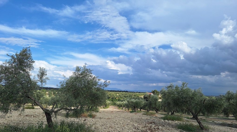 Granada - Castril - 3977m2