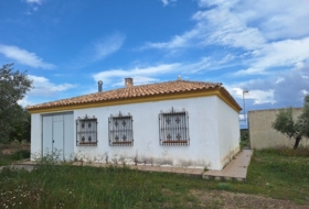Foto 11