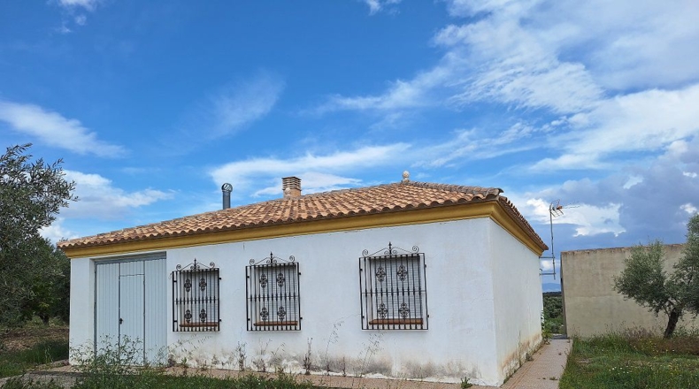 Granada - Castril - 3977m2