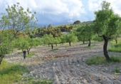 Finca rústica en venda a Castril ref.: TR234315 foto
