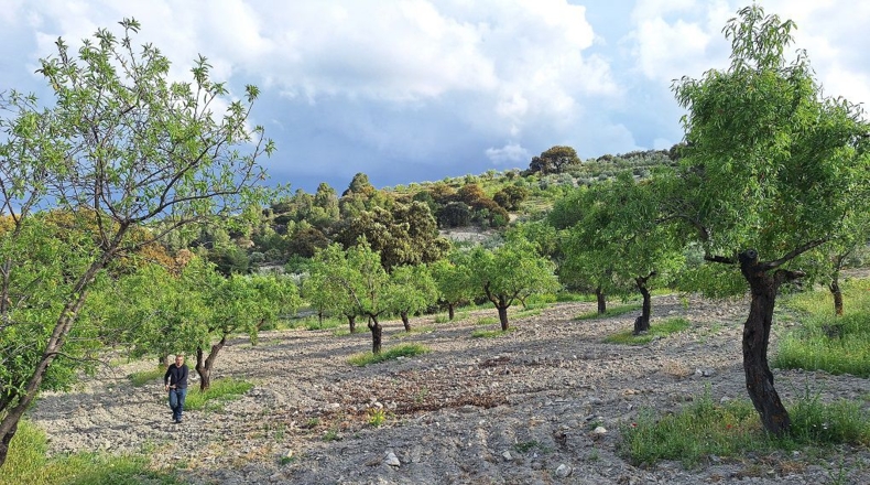 Granada - Castril - 3977m2