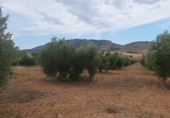 Finca rústica en venta en Huéscar ref: TR263276 foto