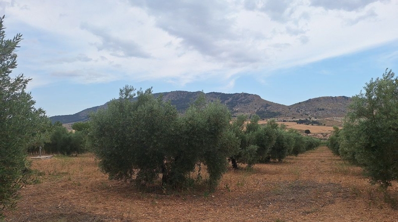 Granada - Huéscar - 65m2