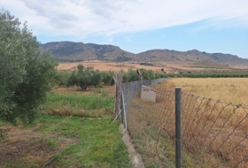 Foto 15