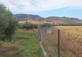 Finca rústica en venta en Huéscar ref: TR263276 foto