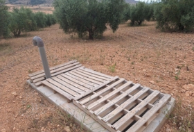 Foto 16
