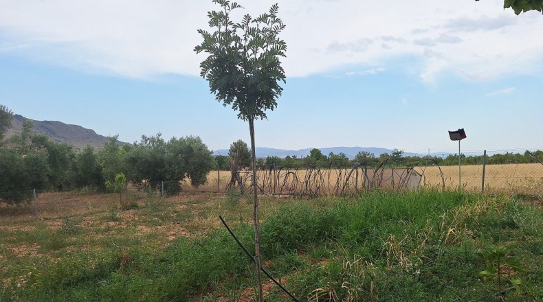 Granada - Huéscar - 65m2