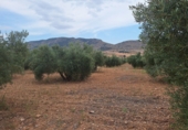 Finca rústica en venta en Huéscar ref: TR263276 foto