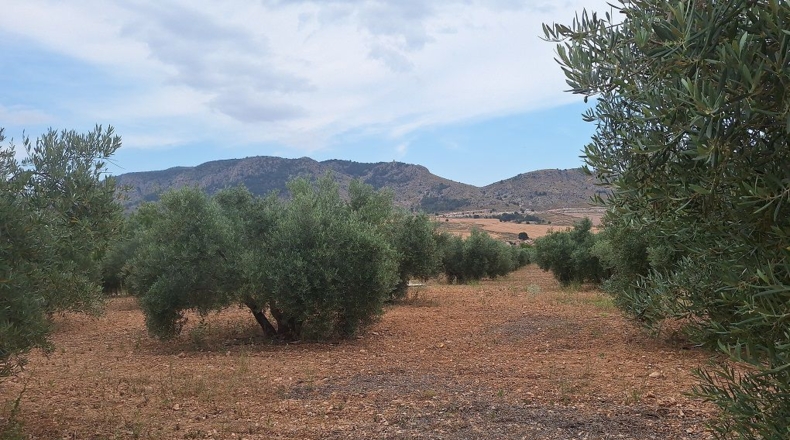 Granada - Huéscar - 65m2