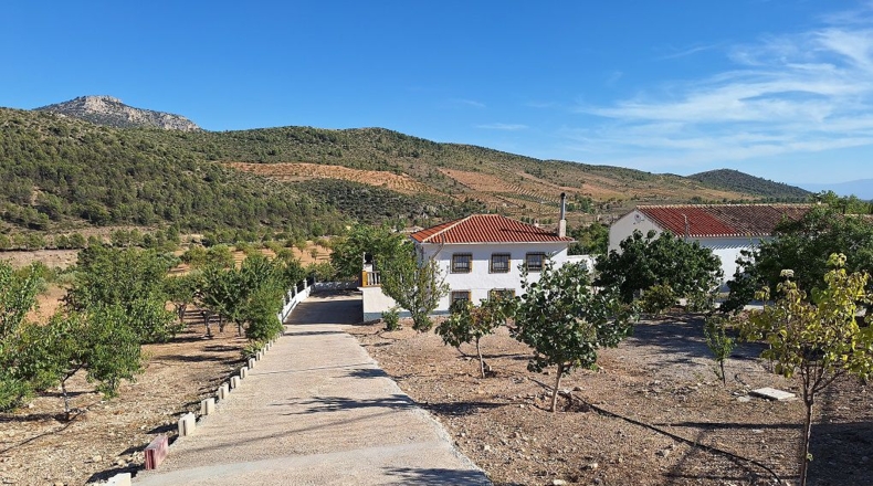 Granada - Huéscar - 174m2