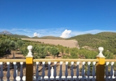Finca rústica en venta en Huéscar ref: TR360578 foto