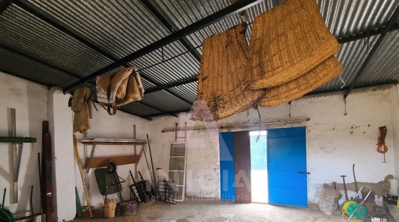 Badajoz - Puebla del Maestre - 1495m2