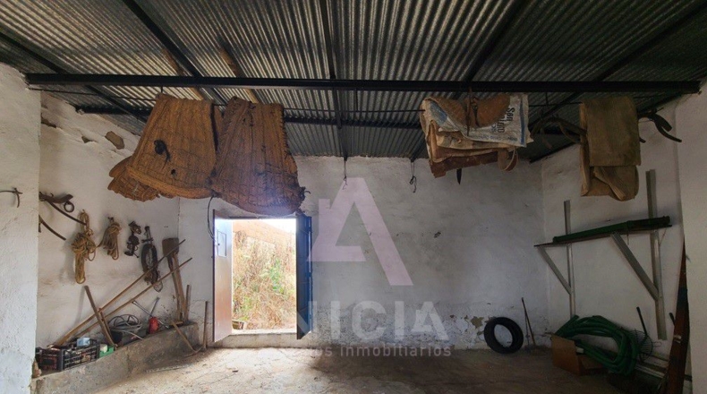 Badajoz - Puebla del Maestre - 1495m2