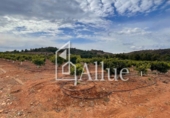 Finca rústica en venta en la España, la Llosa, ref: TR278860 foto