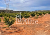 Finca rústica en venta en la España, la Llosa, ref: TR278860 foto