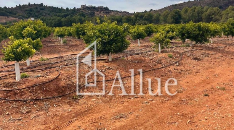 Castellón - la Llosa - 4697m2
