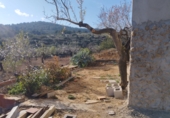 Finca rústica en venda a la Vall d'Alba ref.: TR278880 foto