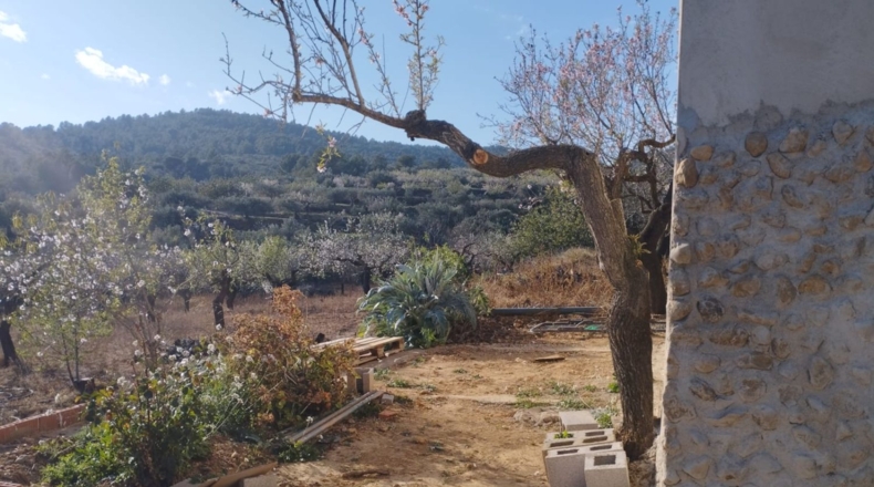 Castellón - Vall d'Alba - 5658m2