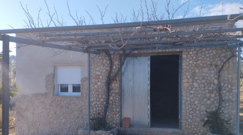 Castellón - Vall d'Alba - 5658m2
