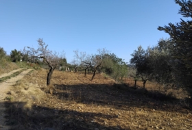 Foto 16