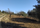 Finca rústica en venda a la Vall d'Alba ref.: TR278880 foto