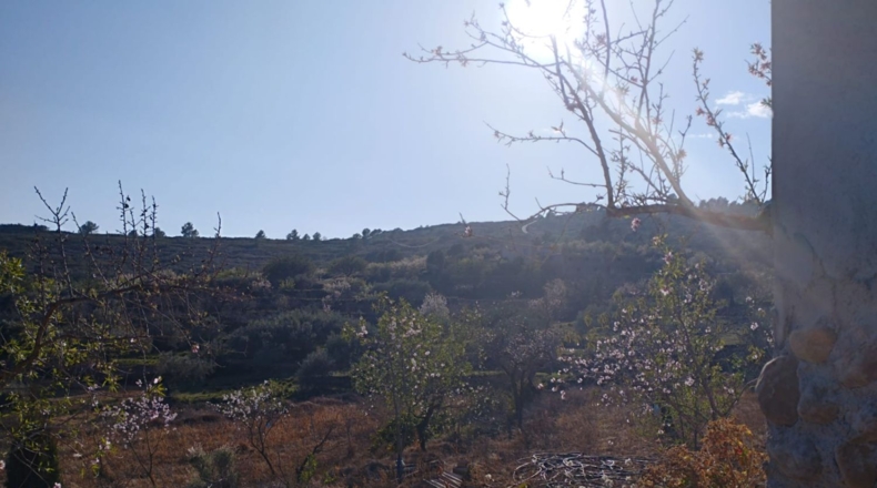 Castellón - Vall d'Alba - 5658m2