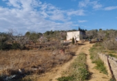 Finca rústica en venda a la Vall d'Alba ref.: TR278880 foto