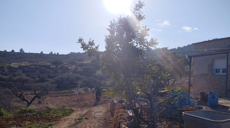 Castellón - Vall d'Alba - 5658m2