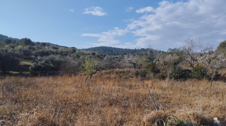 Castellón - Vall d'Alba - 5658m2