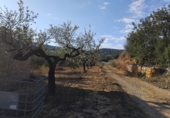 Finca rústica en venda a la Vall d'Alba ref.: TR278880 foto