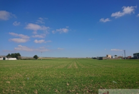 Santa María del Campo Rus 38000&nbsp;m² 