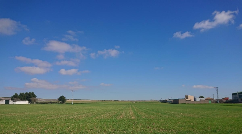 Cuenca - Santa María del Campo Rus - 38000m2