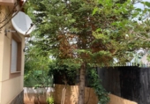 Chalet independiente con terreno en venta en Robledo ref: TR360858 foto
