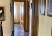 Chalet independiente con terreno en venta en Robledo ref: TR360858 foto