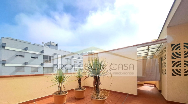 Santa Cruz de Tenerife - La Orotava - 1367m2