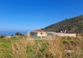 Non-developable land for sale in La Orotava ref: TR234768 photo